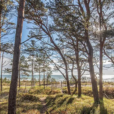 Prora Solitaire Avida Loft12